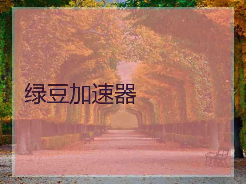 绿豆加速器