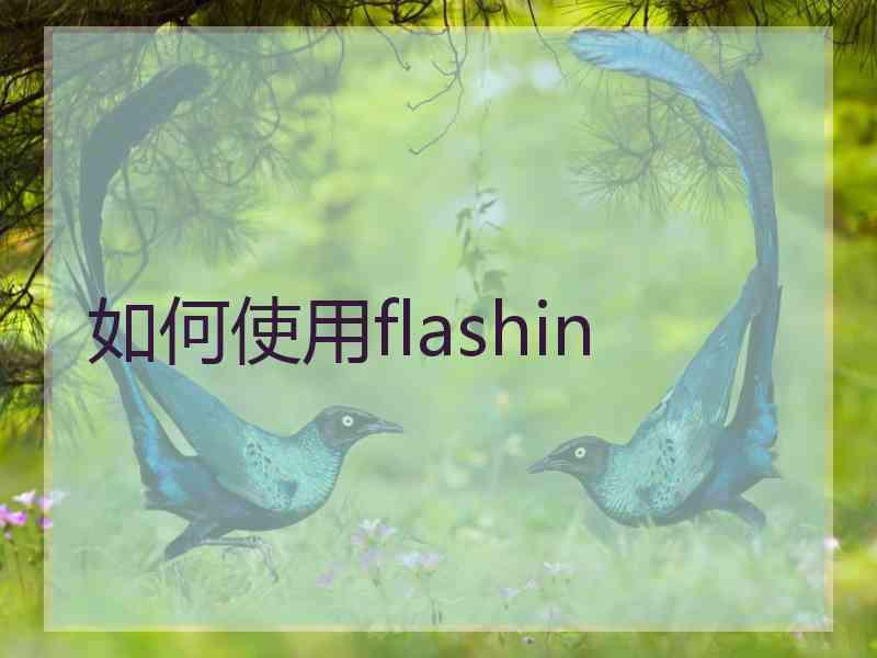 如何使用flashin 如何使用flashin