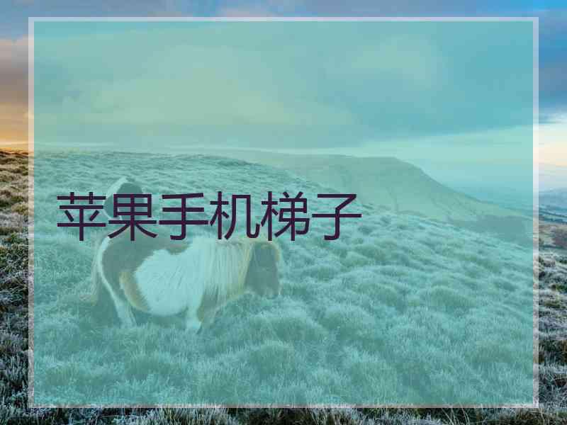 苹果手机梯子