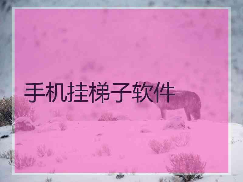 手机挂梯子软件