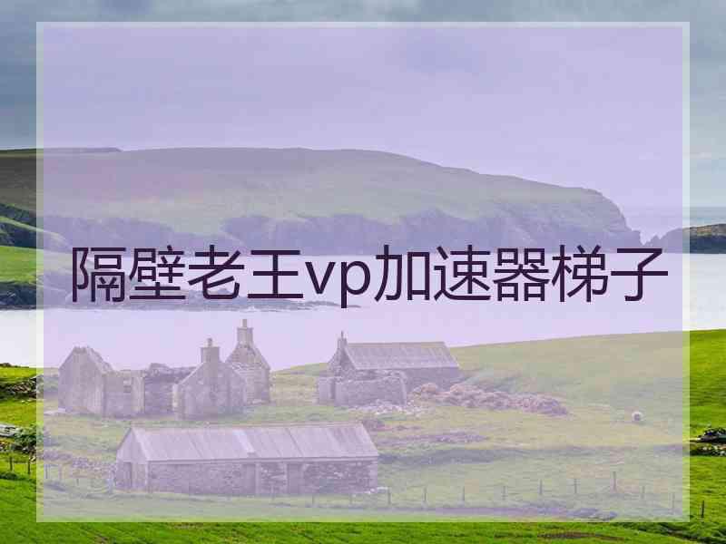 隔壁老王vp加速器梯子