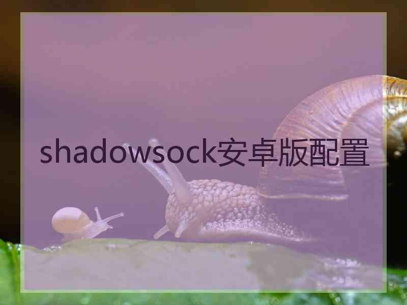 shadowsock安卓版配置